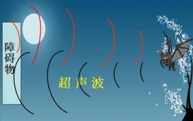 無損檢測