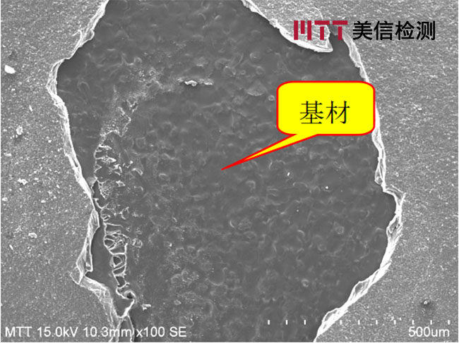起泡位置涂層與未起泡涂層SEM對比圖片