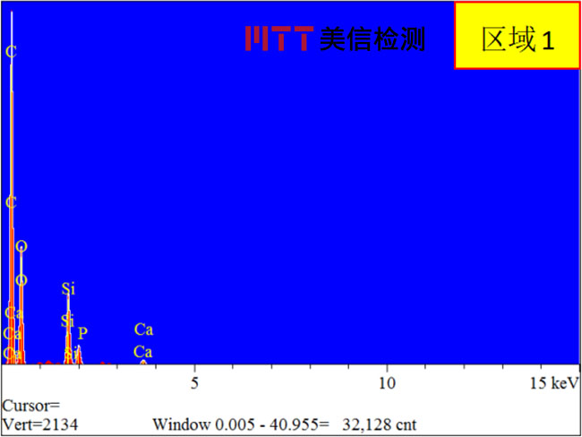 起泡涂層的EDS能譜圖