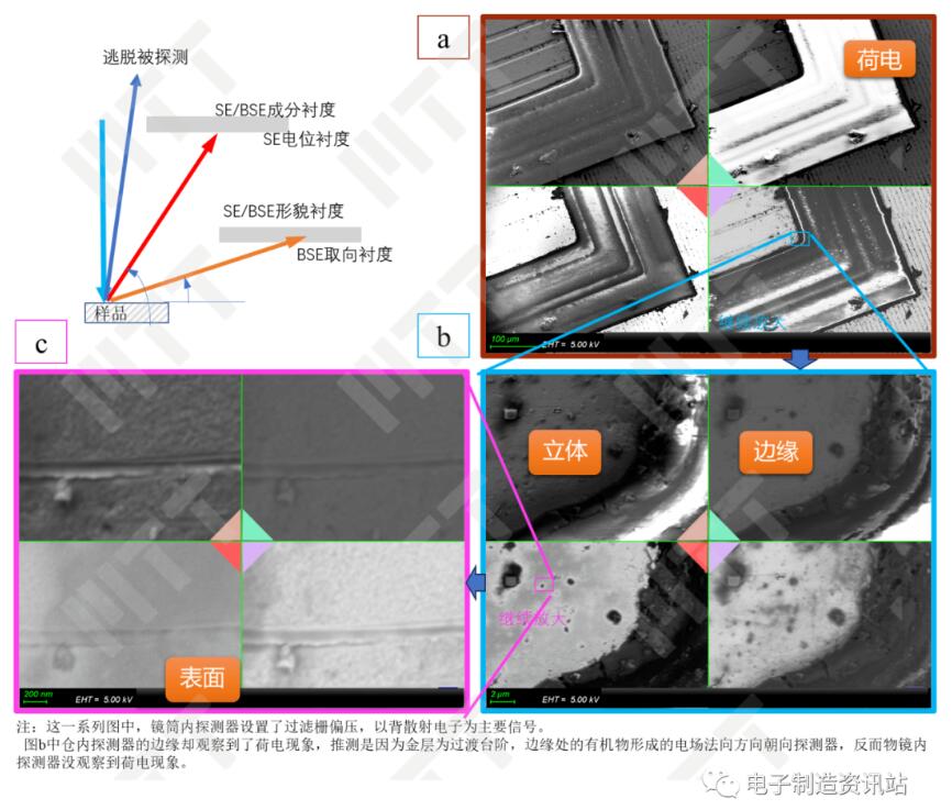 不同探測器在中高放大倍數時的表現